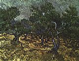 Olive Canvas Paintings - The Olive Grove